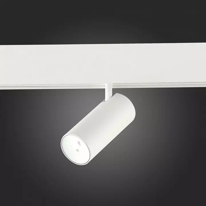 Светильник на штанге ST-Luce ST375 ST375.506.07 4_ST375.506.07.webp big