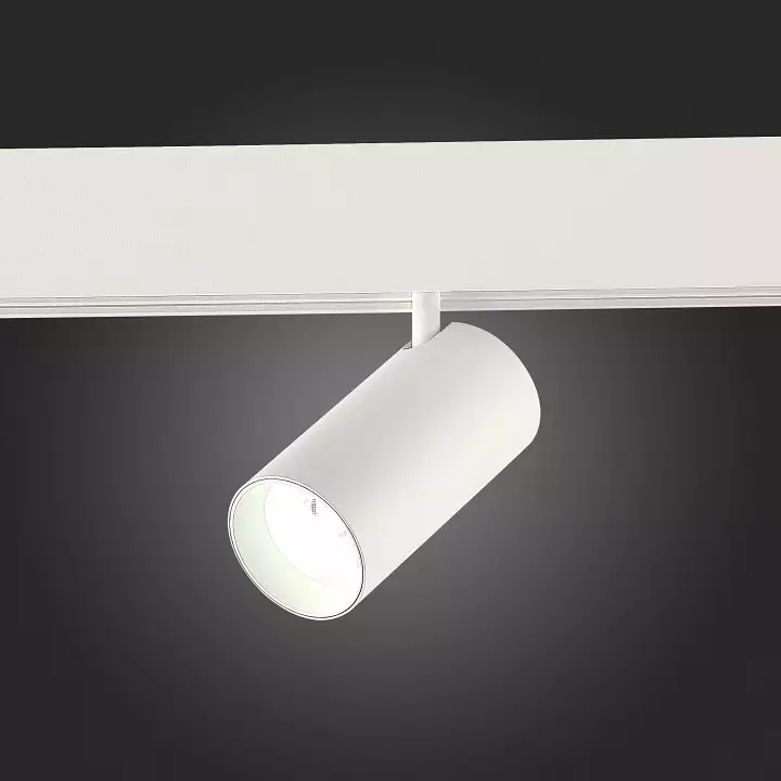 Светильник на штанге ST-Luce ST375 ST375.506.20 4_ST375.506.20.webp big