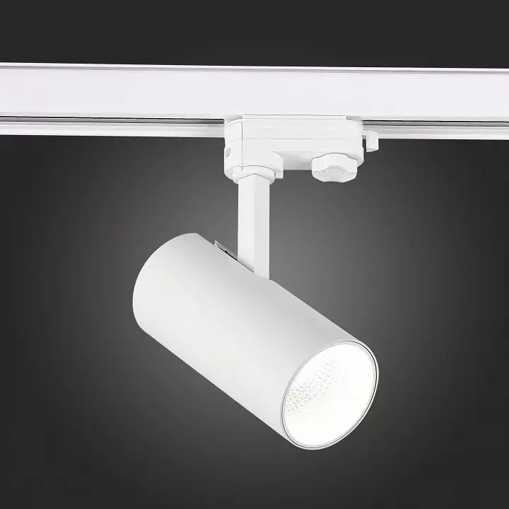 Светильник на штанге ST-Luce ST661 ST661.546.20 4_ST661.546.20.webp big