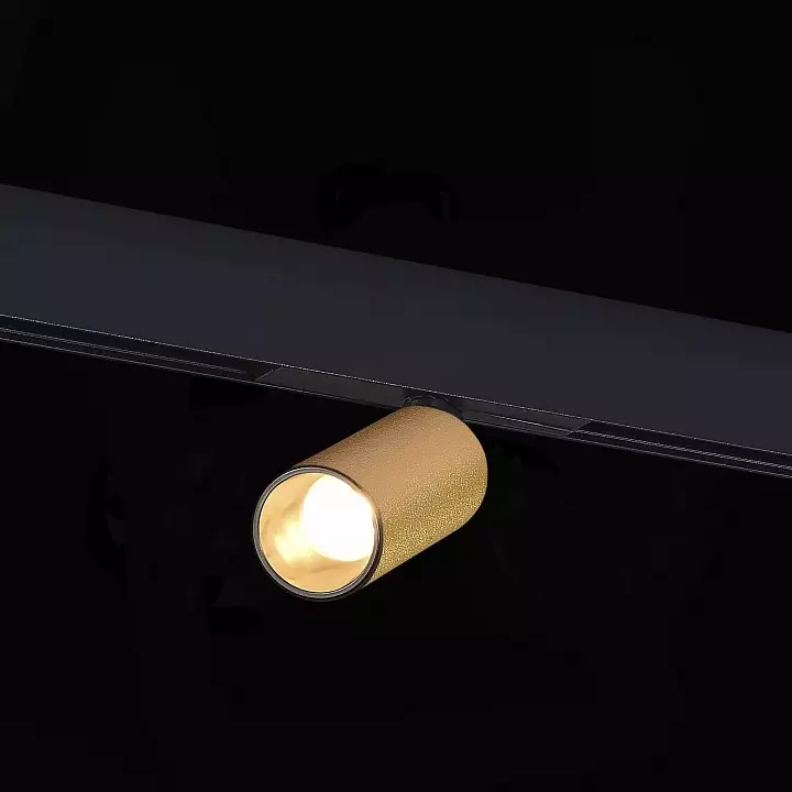 Светильник на штанге ST-Luce ST807 ST807.246.12 3_ST807.246.12.webp big