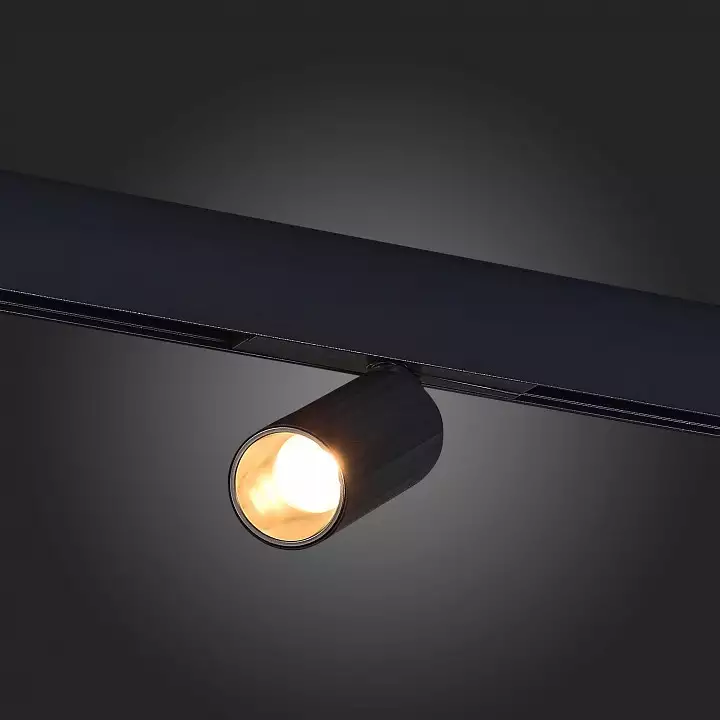 Светильник на штанге ST-Luce ST807 ST807.436.12 4_ST807.436.12.webp big