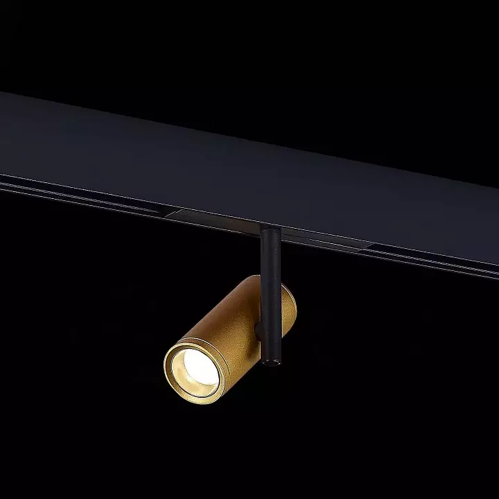 Светильник на штанге ST-Luce ST808 ST808.246.08 3_ST808.246.08.webp big