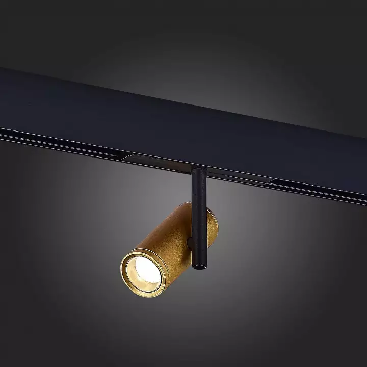 Светильник на штанге ST-Luce ST808 ST808.246.08 4_ST808.246.08.webp big