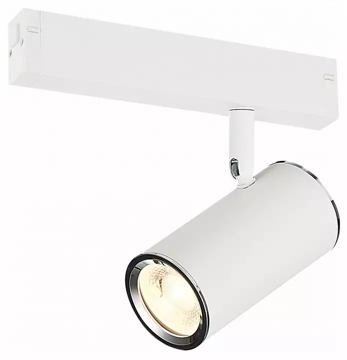 Светильник на штанге ST-Luce SKYLINE 220 ST504.506.01 1_ST504.506.01.webp big