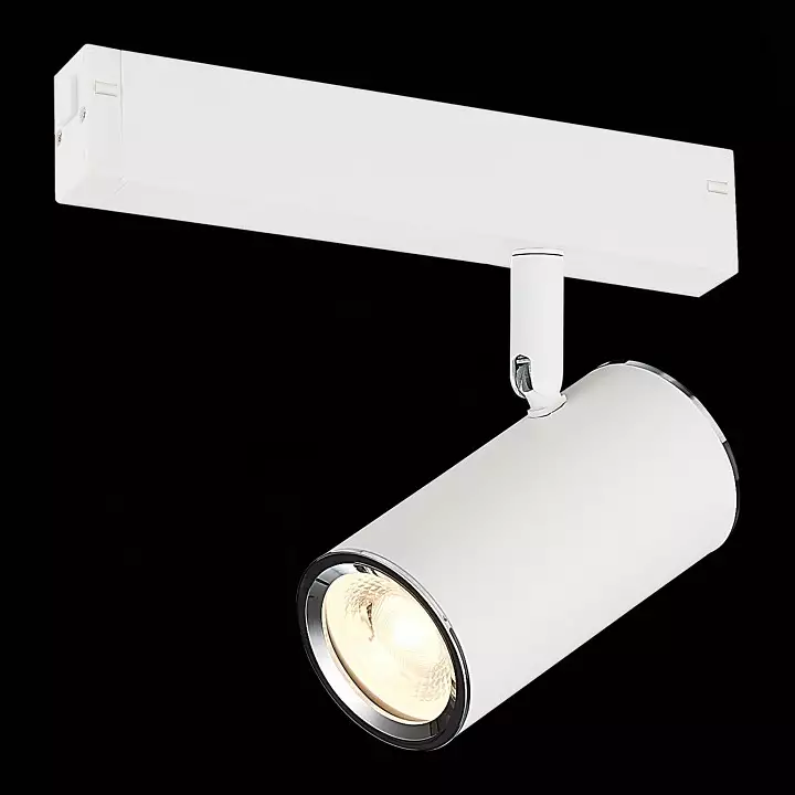 Светильник на штанге ST-Luce SKYLINE 220 ST504.506.01 2_ST504.506.01.webp big