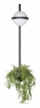 Бра Loft it Jardin 10121W/B 0_LF_10121W_B.webp small