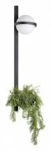 Бра Loft it Jardin 10121W/B 2_LF_10121W_B.webp small