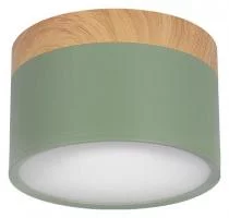 Накладной светильник Loft it Grape 10162 Green