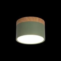 Накладной светильник Loft it Grape 10162 Green 1_LF_10162_Green.webp small