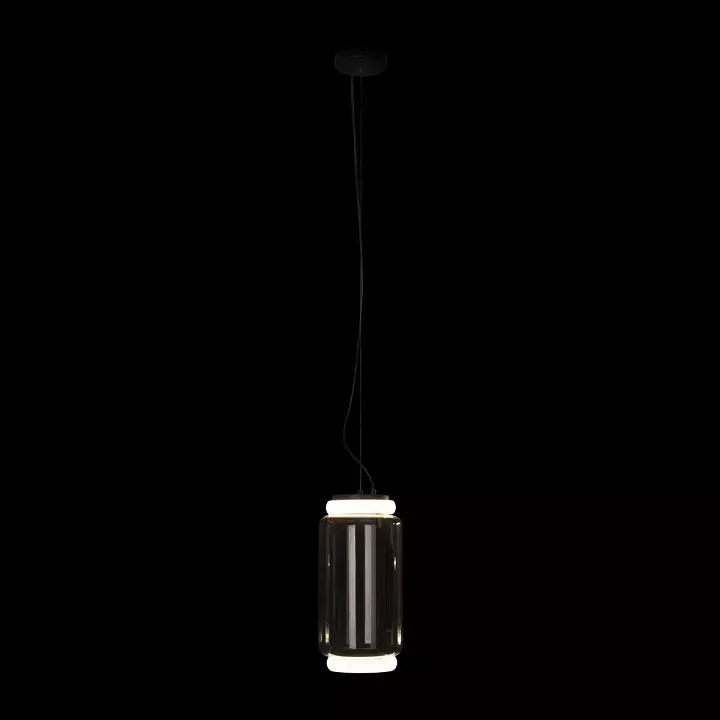 Подвесной светильник Loft it Noctambule 10194/S 4_LF_10194_S.webp big