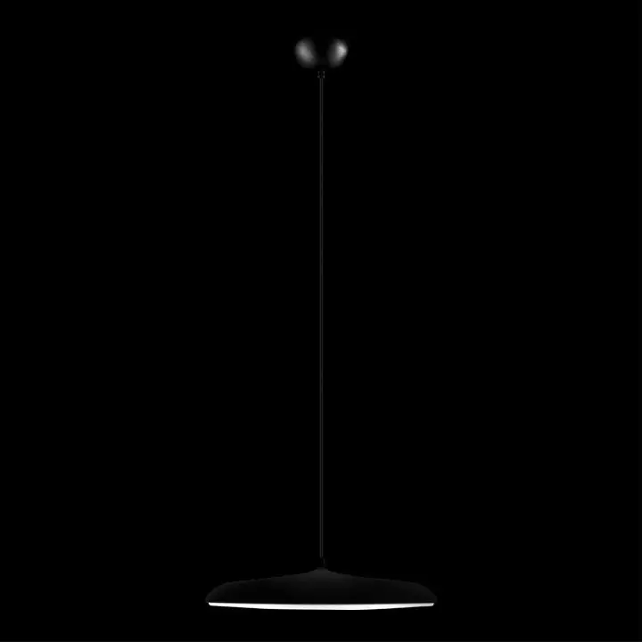 Подвесной светильник Loft it Plato 10119 Black 1_LF_10119_Black.webp big