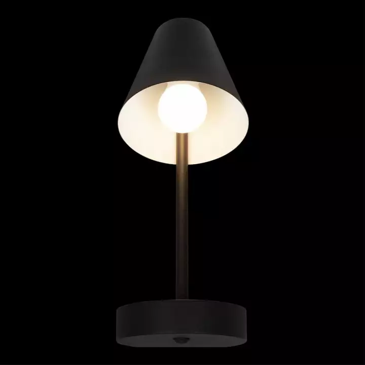 Бра Loft it Shelf 10216/1W Black 1_LF_10216_1W_Black.webp big