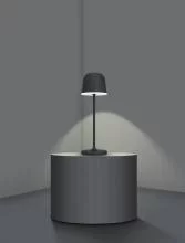 Настольная лампа декоративная Eglo ПРОМО Mannera 900457 1_EG_900457.webp small