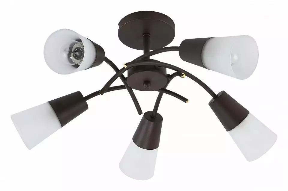 Люстра на штанге Escada Calla 1109/5P Wenge 0_ESC_1109_5P_Wenge.webp big