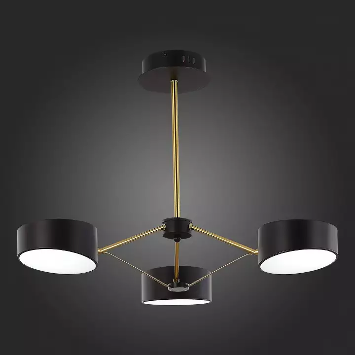 Люстра на штанге EVOLUCE Valle SLE6005-402-03 3_EVO_SLE6005-402-03.webp big
