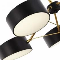Люстра на штанге EVOLUCE Valle SLE6005-402-03 4_EVO_SLE6005-402-03.webp small
