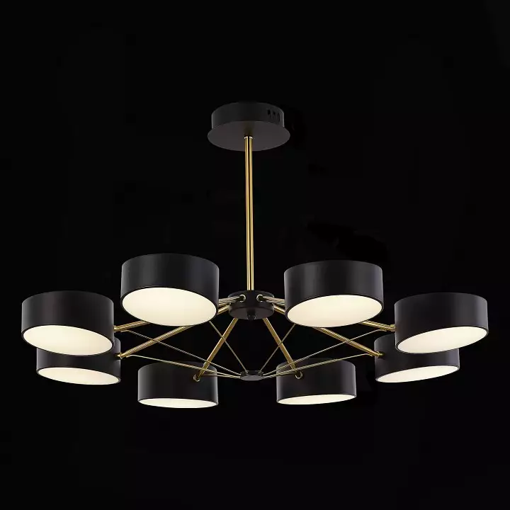 Люстра на штанге EVOLUCE Valle SLE6005-402-08 4_EVO_SLE6005-402-08.webp big