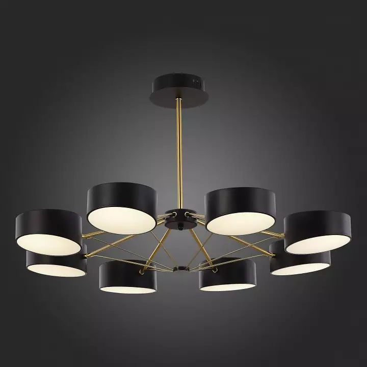 Люстра на штанге EVOLUCE Valle SLE6005-402-08 5_EVO_SLE6005-402-08.webp big