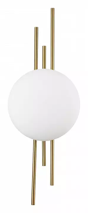 Накладной светильник Indigo Astro 14007/1W Brass 0_INDG_V000044L.webp big