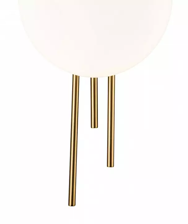 Накладной светильник Indigo Astro 14007/1W Brass 2_INDG_V000044L.webp big