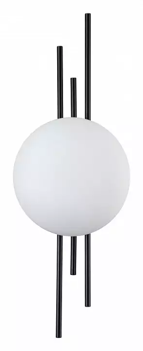 Накладной светильник Indigo Astro 14007/1W Black 0_INDG_V000045L.webp big