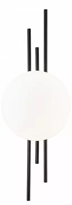 Накладной светильник Indigo Astro 14007/1W Black 1_INDG_V000045L.webp big