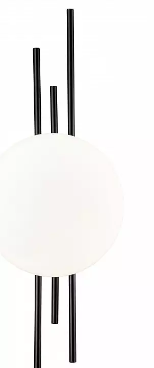 Накладной светильник Indigo Astro 14007/1W Black 4_INDG_V000045L.webp big