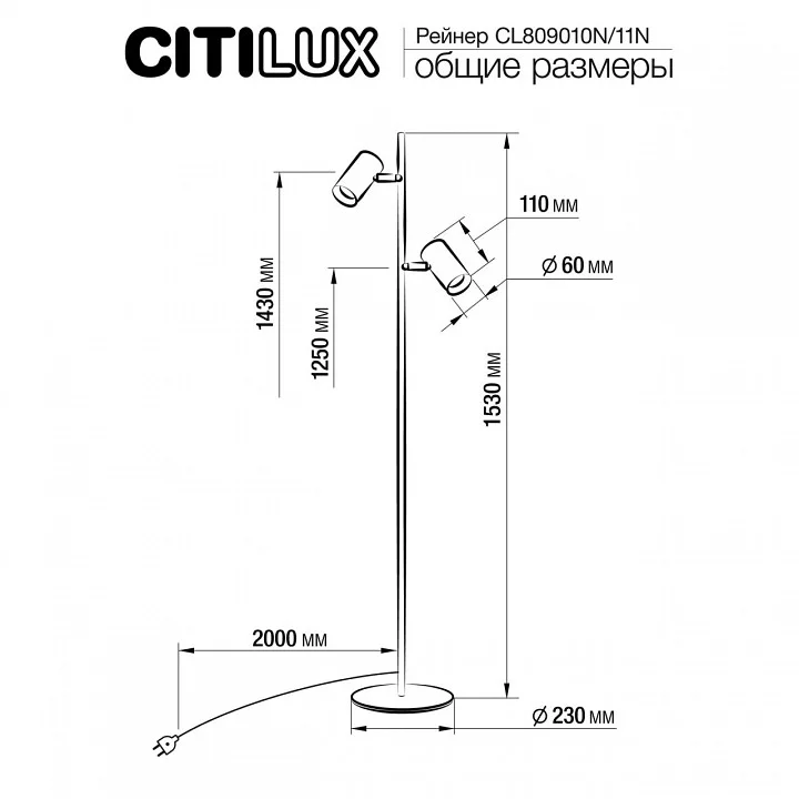 Торшер Citilux Twin CL809010N 4_CL809010N.webp big