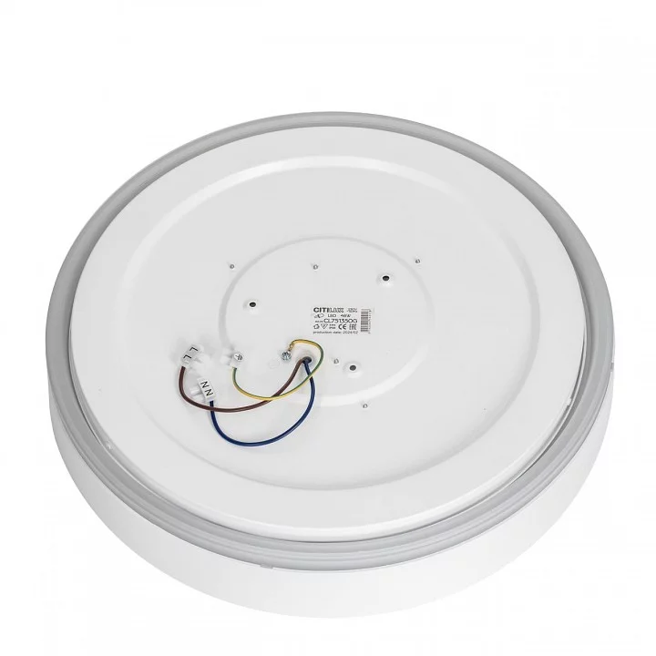 Накладной светильник Citilux BOSS CL751350G 12_CL751350G.webp big