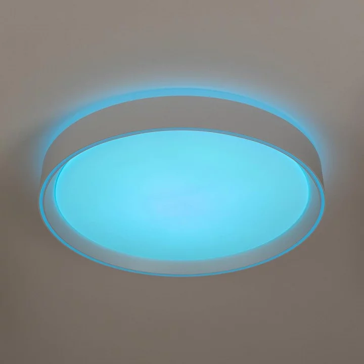 Накладной светильник Citilux BOSS CL751350G 6_CL751350G.webp big