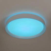 Накладной светильник Citilux BOSS CL751350G 6_CL751350G.webp small