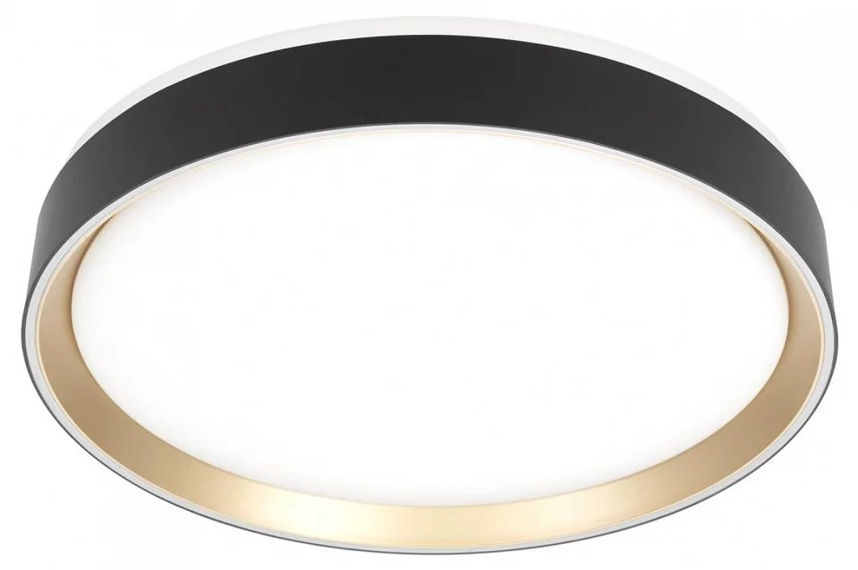 Накладной светильник Citilux BOSS CL751351G 0_CL751351G.webp big
