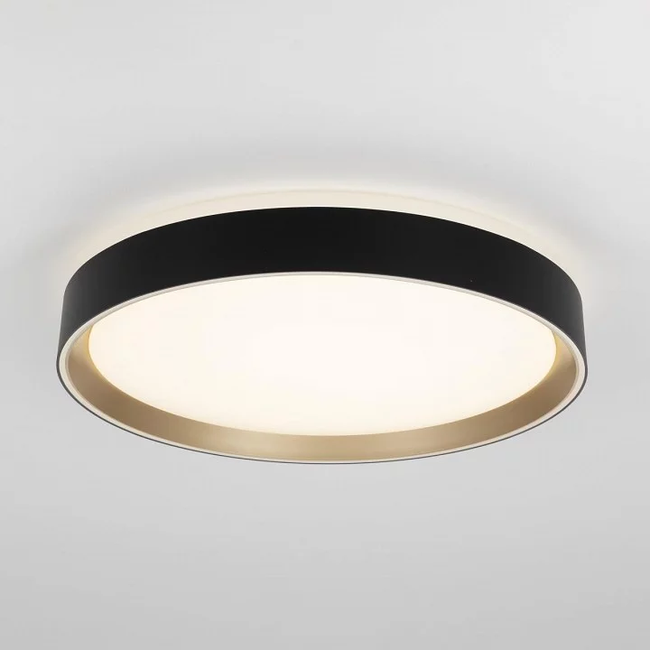 Накладной светильник Citilux BOSS CL751351G 2_CL751351G.webp big