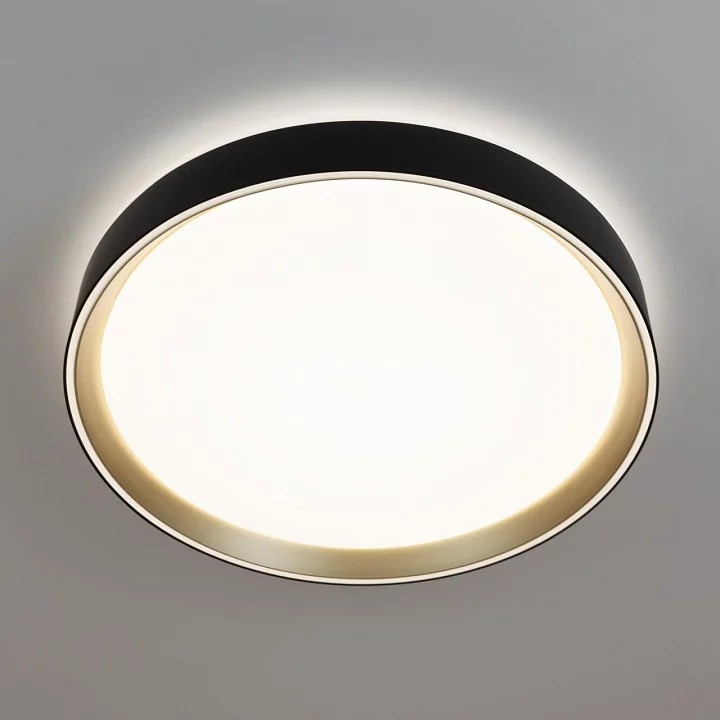 Накладной светильник Citilux BOSS CL751351G 4_CL751351G.webp big