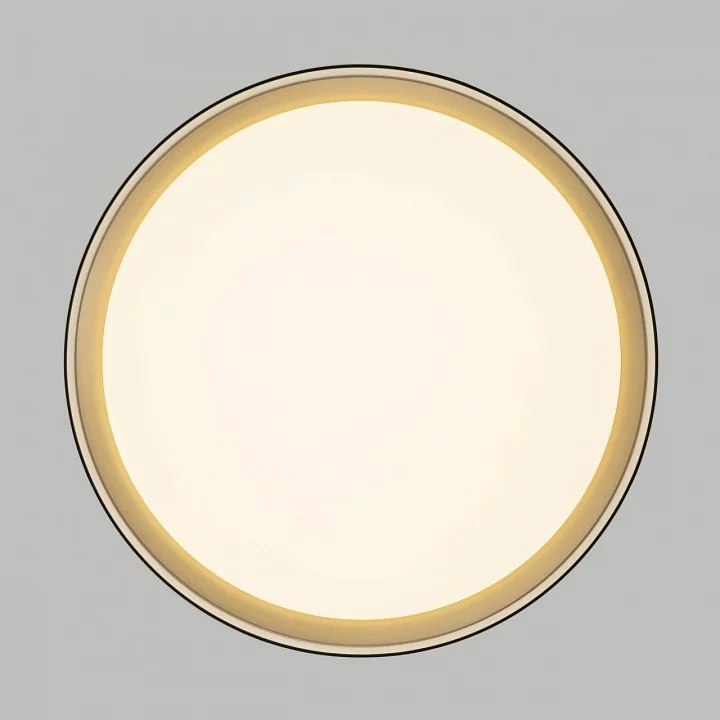 Накладной светильник Citilux BOSS CL751351G 5_CL751351G.webp big