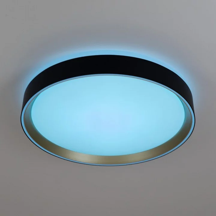Накладной светильник Citilux BOSS CL751351G 6_CL751351G.webp big