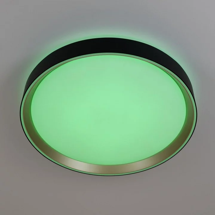 Накладной светильник Citilux BOSS CL751351G 8_CL751351G.webp big