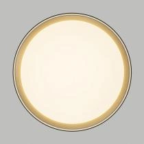 Накладной светильник Citilux BOSS CL751351G 5_CL751351G.webp small
