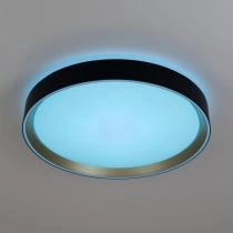 Накладной светильник Citilux BOSS CL751351G 6_CL751351G.webp small