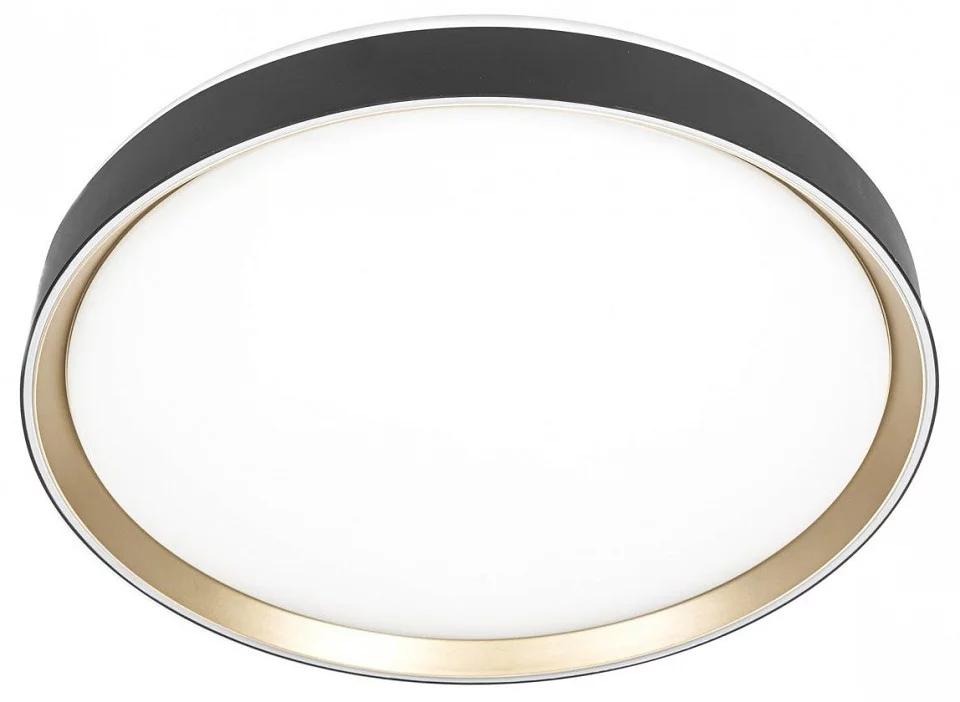 Накладной светильник Citilux BOSS CL751451G 0_CL751451G.webp big