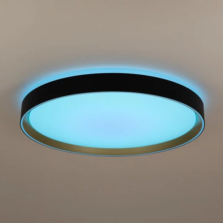 Накладной светильник Citilux BOSS CL751451G 11_CL751451G.webp big