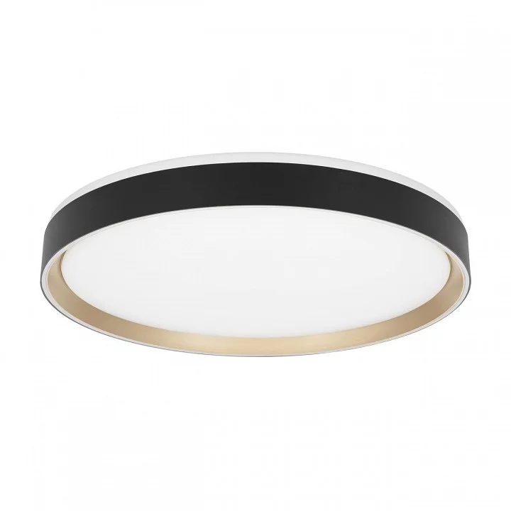 Накладной светильник Citilux BOSS CL751451G 3_CL751451G.webp big