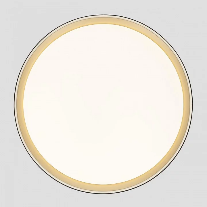 Накладной светильник Citilux BOSS CL751451G 4_CL751451G.webp big