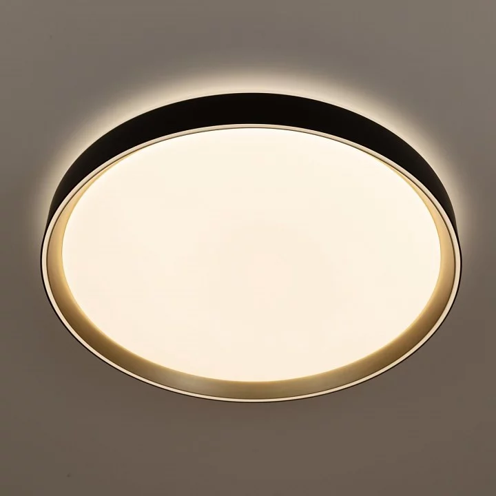 Накладной светильник Citilux BOSS CL751451G 5_CL751451G.webp big