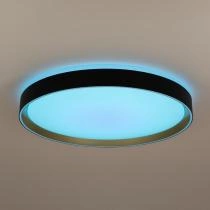 Накладной светильник Citilux BOSS CL751451G 11_CL751451G.webp small