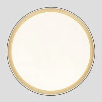 Накладной светильник Citilux BOSS CL751451G 4_CL751451G.webp small