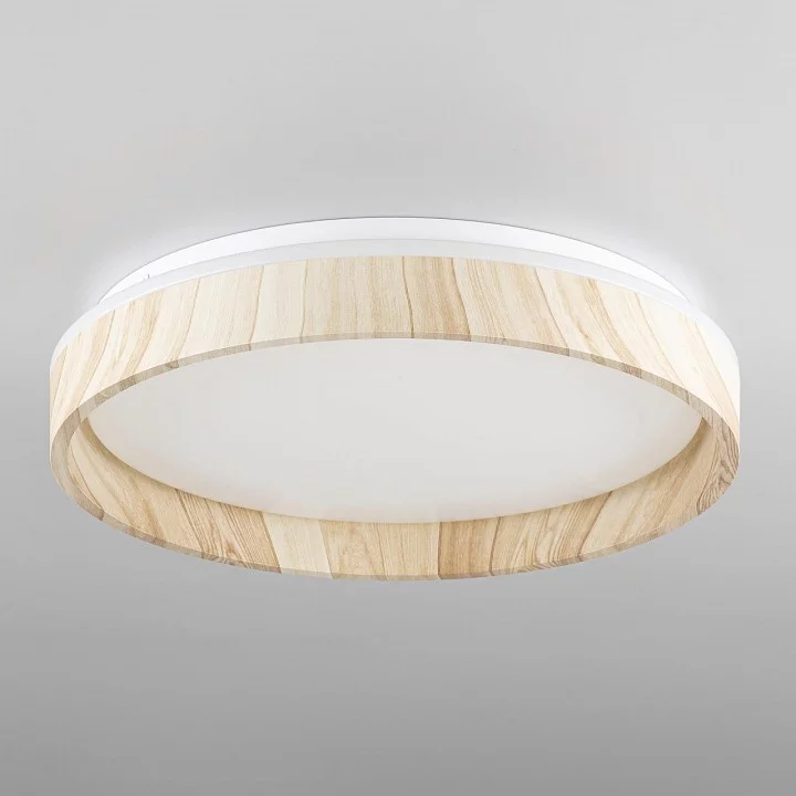 Накладной светильник Citilux ENZO CL753352G 4_CL753352G.webp big