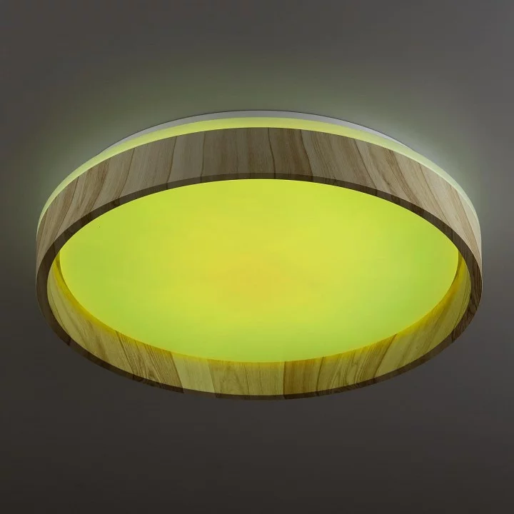 Накладной светильник Citilux ENZO CL753352G 5_CL753352G.webp big