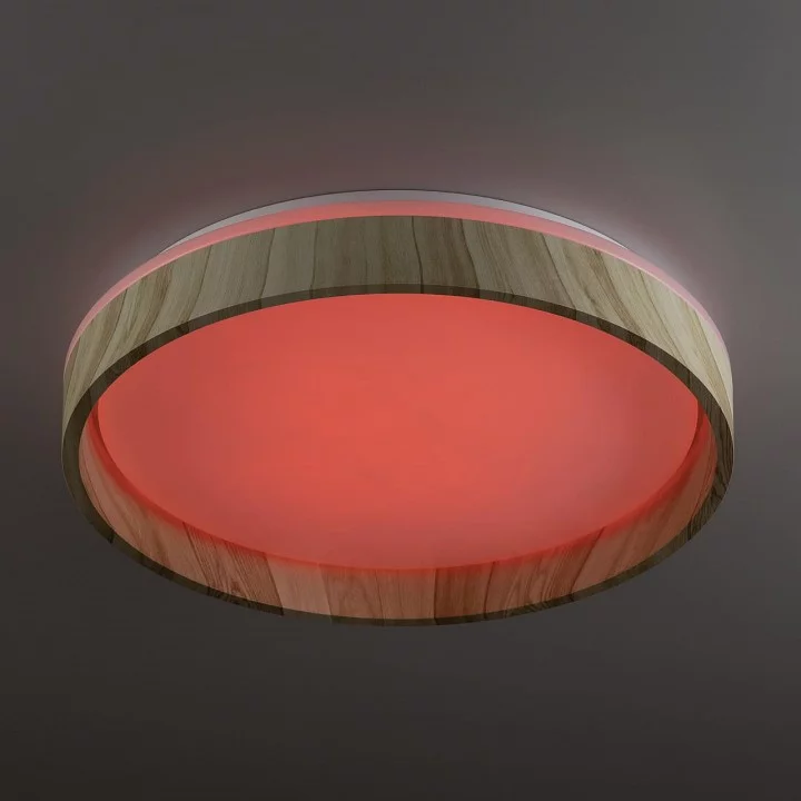 Накладной светильник Citilux ENZO CL753352G 7_CL753352G.webp big