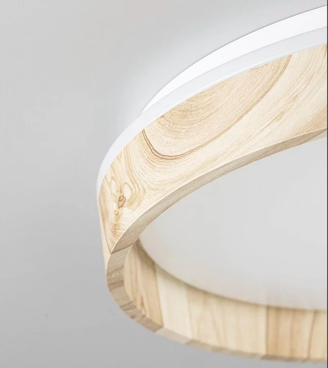 Накладной светильник Citilux ENZO CL753352G 9_CL753352G.webp big